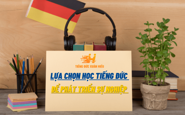 hoc-ting-duc-lua-chon-phat-trien-su-nghiep